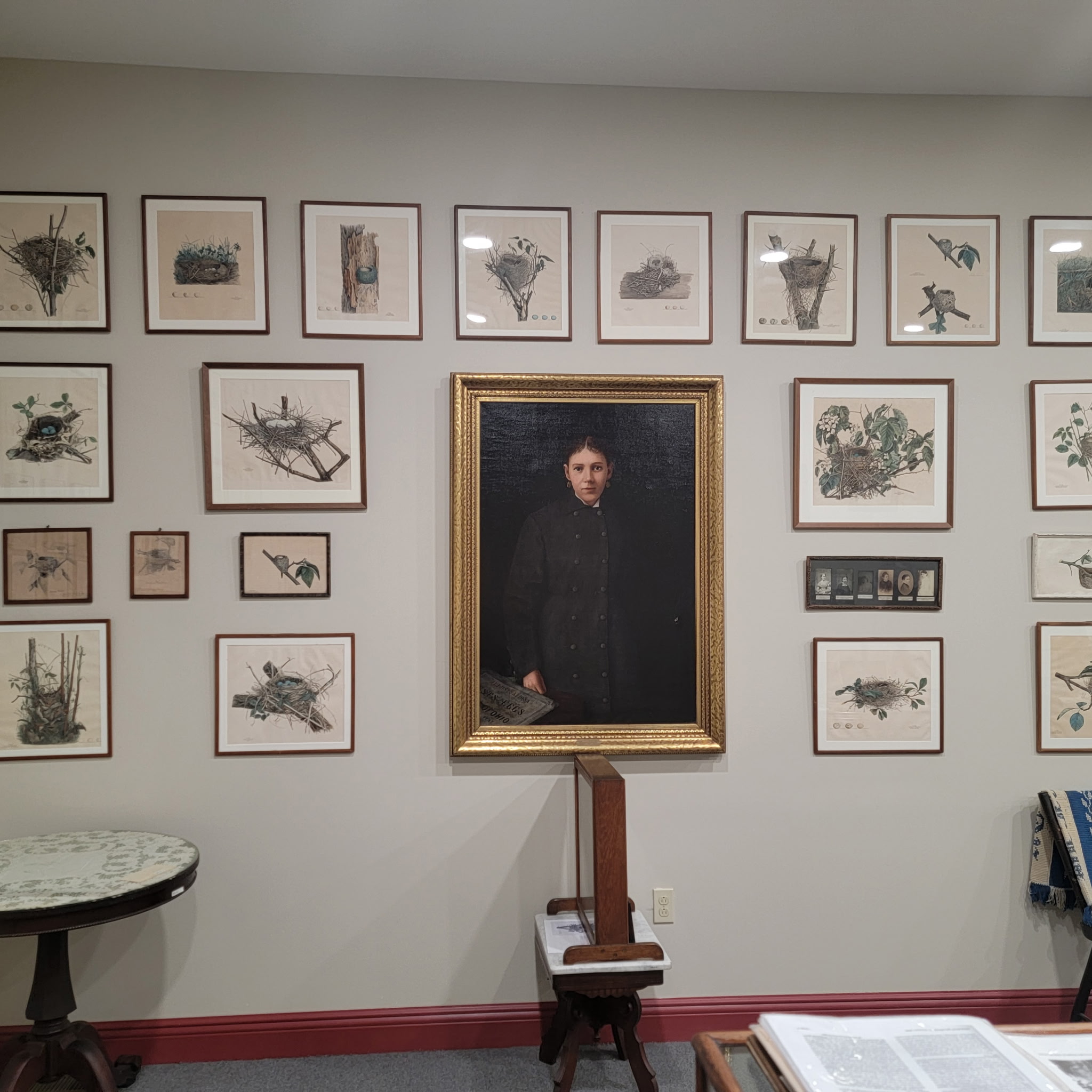 Wall of framed bird nest prints surrounding a portrait in a gilt frame