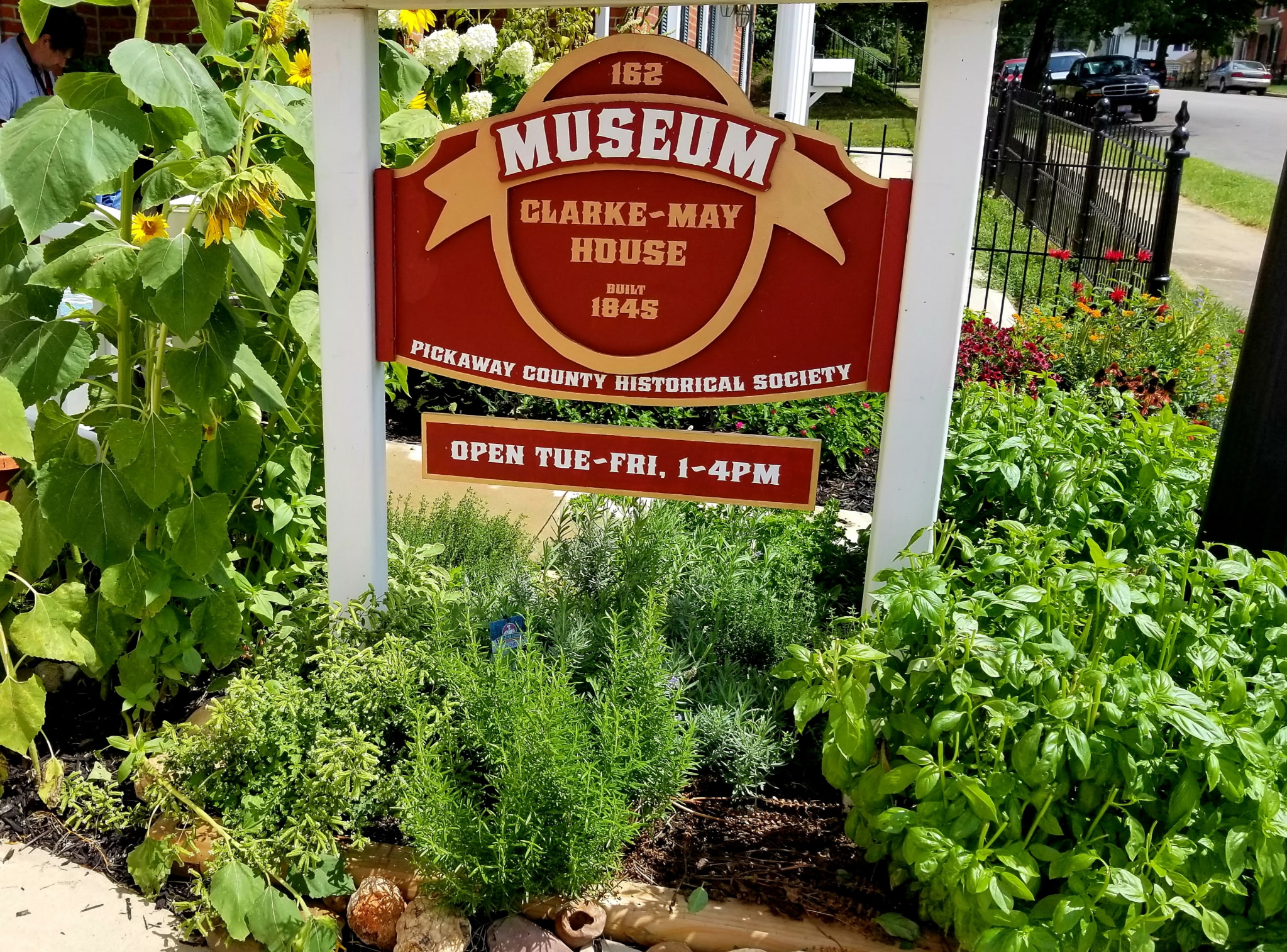 The museum sign above the herb garden with sunflowers and basil